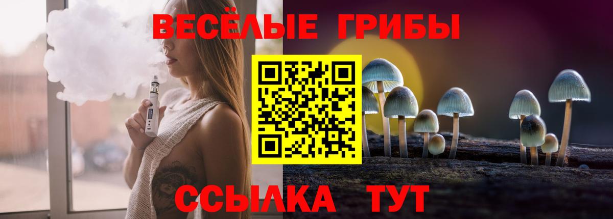 Солнечногорск  Галлюциногенные грибы Cubensis  Псилоцибиновые грибы MAGIC MUSHROOMS  Вход с VPN 